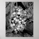 Suche nach beere poster Für sie