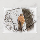 Suche nach roter baum postkarten Vogelvogel