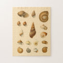 Suche nach mollusken Vintag