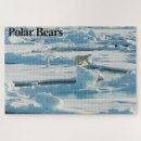 Suche nach eisbär puzzle Spaß