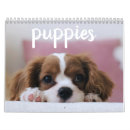 Suche nach niedliche hunde kalender Tier