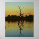 Suche nach toter baum poster Tag