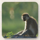 Suche nach kenia untersetzer Afrika