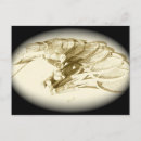 Suche nach tennisschläger postkarten Jede person