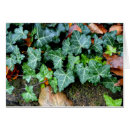 Suche nach efeu blätter karten Pflanze