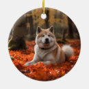 Suche nach akita ornamente Haustier