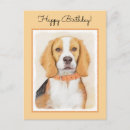 Suche nach beagles postkarten Für alle
