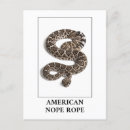 Suche nach snake postkarten Reptil