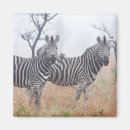 Suche nach stehender krüge Zebra