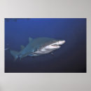 Suche nach wracke poster Natur