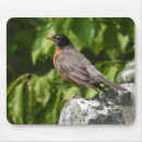 Suche nach rotkehlchen mousepads Wildtiere