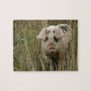 Suche nach rosa schwein puzzle Rätsel