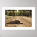 Suche nach labrador welpe poster Süß