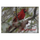 Suche nach wilder vogel schneidebrettchen Wild lebende tiere
