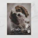 Suche nach adoptions postkarten Welpe