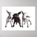 Suche nach frech poster Jedes kind