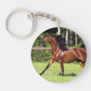 Suche nach arabische pferde schlüsselanhänger Bob langrish