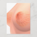 Suche nach anatomy postkarten Brust