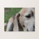 Suche nach beagles puzzle Hunde