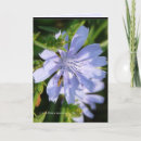 Suche nach wildschwein karten Natur