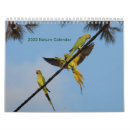 Suche nach flora kalender Vögel