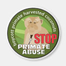 Suche nach primate magnete Affen