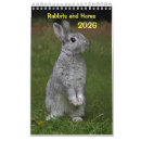 Suche nach hasen kalender Haustier