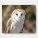 Suche nach schleiereulen mousepads Natur