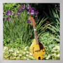 Suche nach mandolin poster Blume