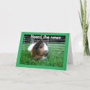 Suche nach gerbil postkarten Geburtstag