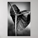 Suche nach die beschaffenheit poster Schatten