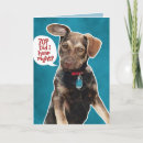 Suche nach funny german shepherd karten Spaß