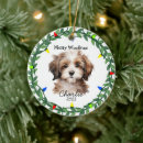 Suche nach havanese ornamente Niedlich
