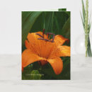 Suche nach massachusetts karten Blume