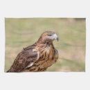 Suche nach raubvogel geschirr tücher Natur