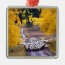 Suche nach schafe ornamente Bauernhof