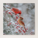Suche nach beeren puzzle Rot