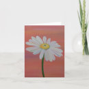 Suche nach putzen postkarten Geburtstag