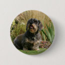 Suche nach draht buttons Hund