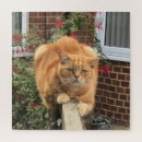 Suche nach große katzen puzzle Komisch
