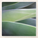Suche nach agave untersetzer Natur