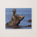 Suche nach hippopotamus puzzle Wild lebende tiere