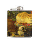 Suche nach kätzchen flachmänner Niedlich