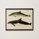 Suche nach säugetiere puzzle Delphine