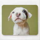 Suche nach gruben mousepads Hund