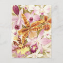 Suche nach rosa orchideen postkarten Jede person