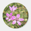 Suche nach heller frühling magnete Sommer