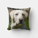 Suche nach labrador kissen Tiere