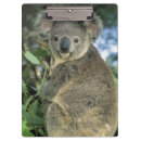 Suche nach kamera klemmbrett Betrachten der kamera