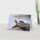 Suche nach geburtstags schildkröte karten Für ihn